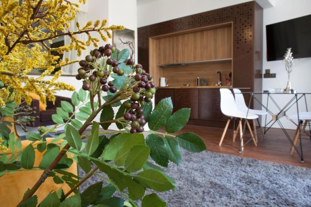 Madeira Loft I - City Center Фуншал Экстерьер фото